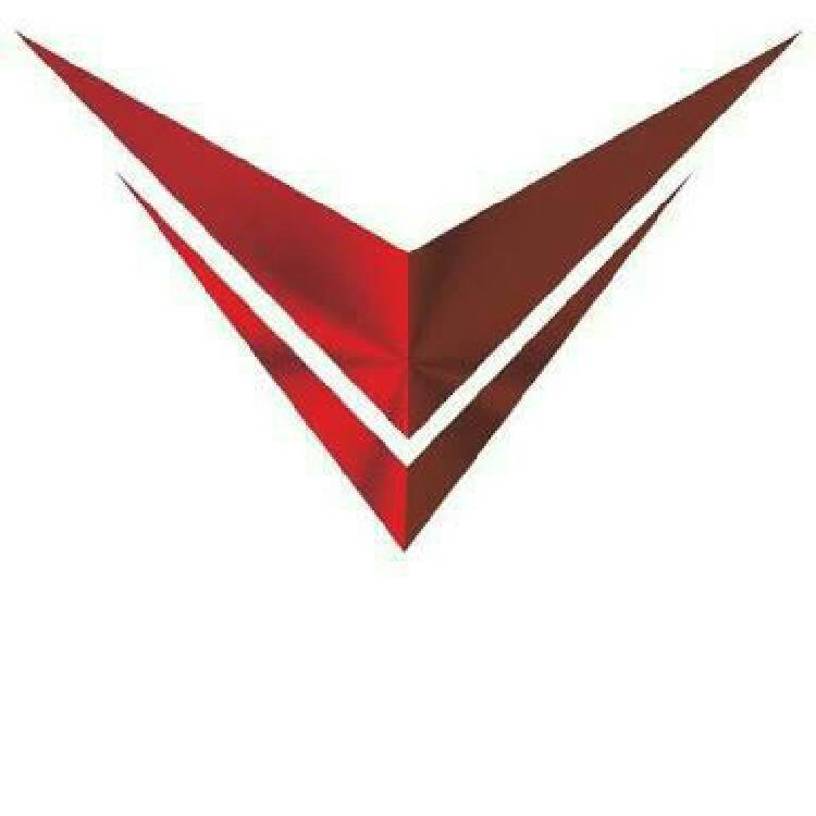 Voltron Motors Logo