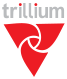 Trillium Information Security Systems Logo