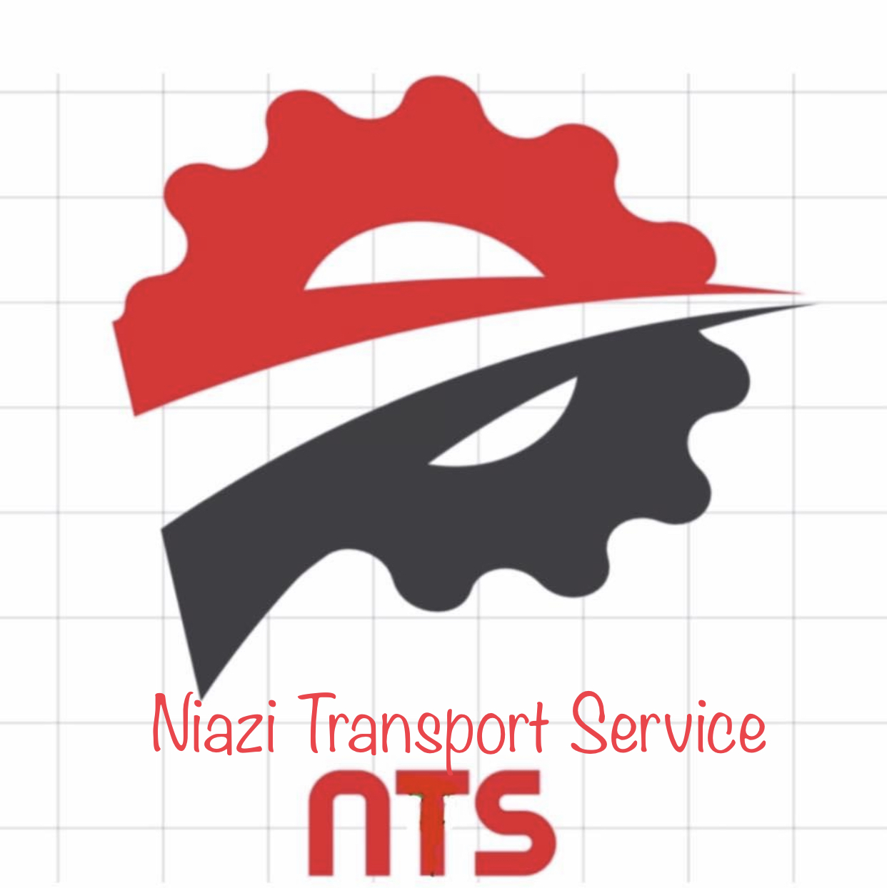 Niazi Transport Service Logo
