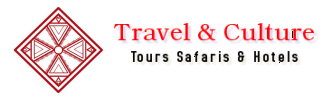 Travel & Culture Services Logo