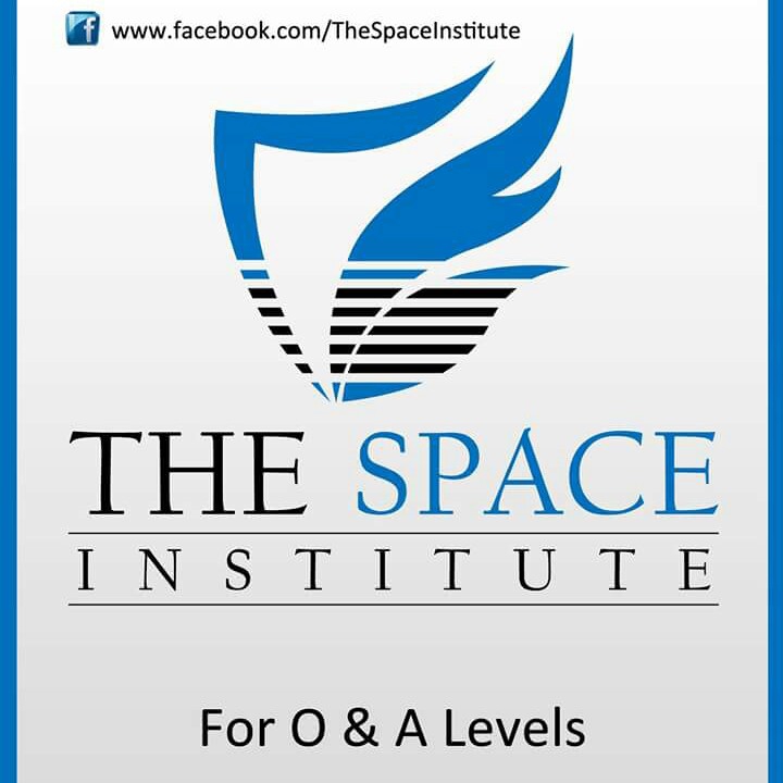 The Space Institute Logo