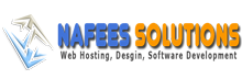 Nafees Solutions Logo