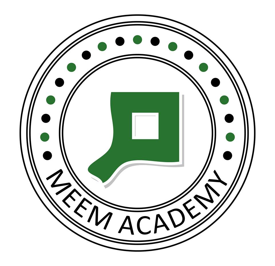 Meem Acedemy Logo