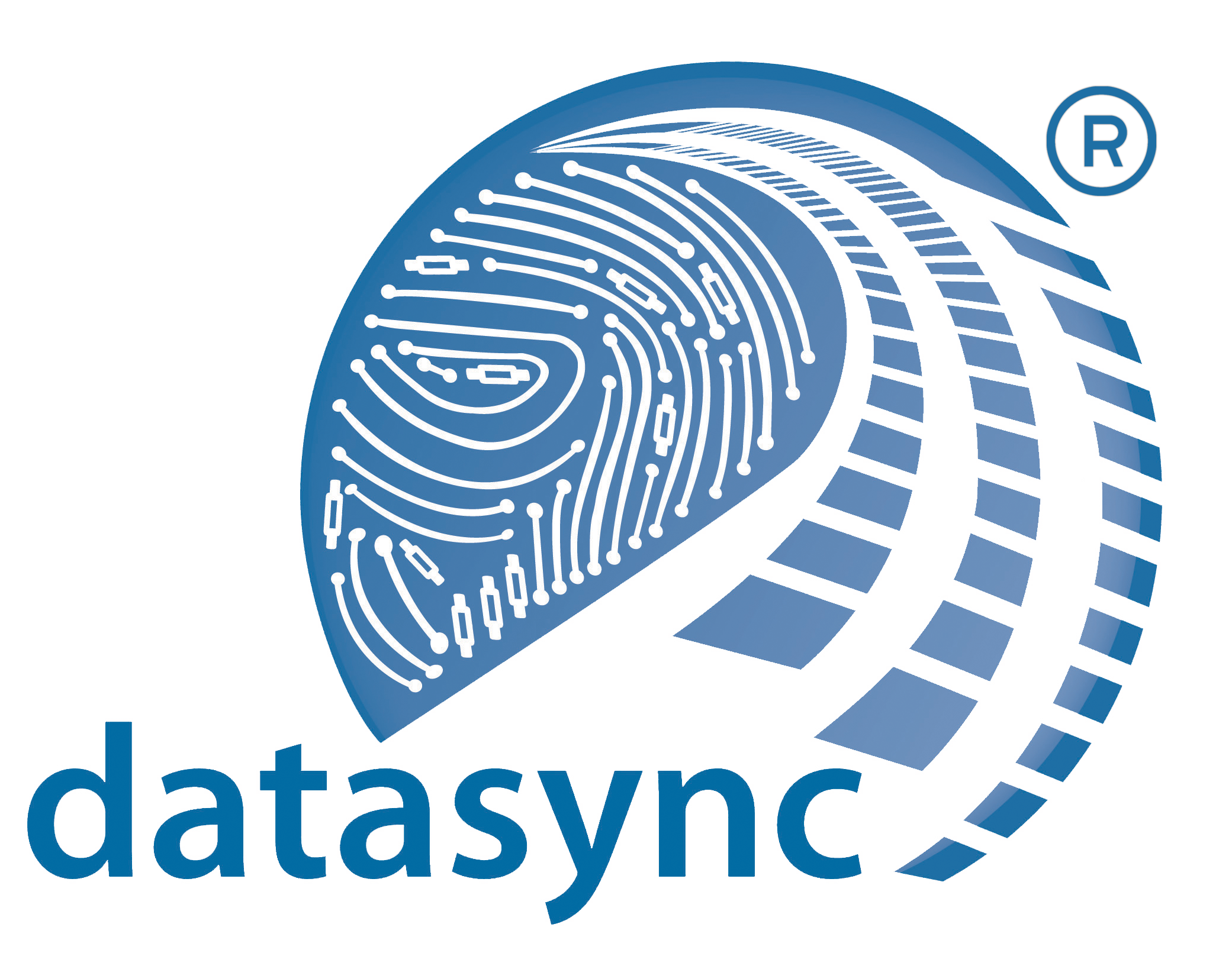 DataSync Pvt Ltd Logo