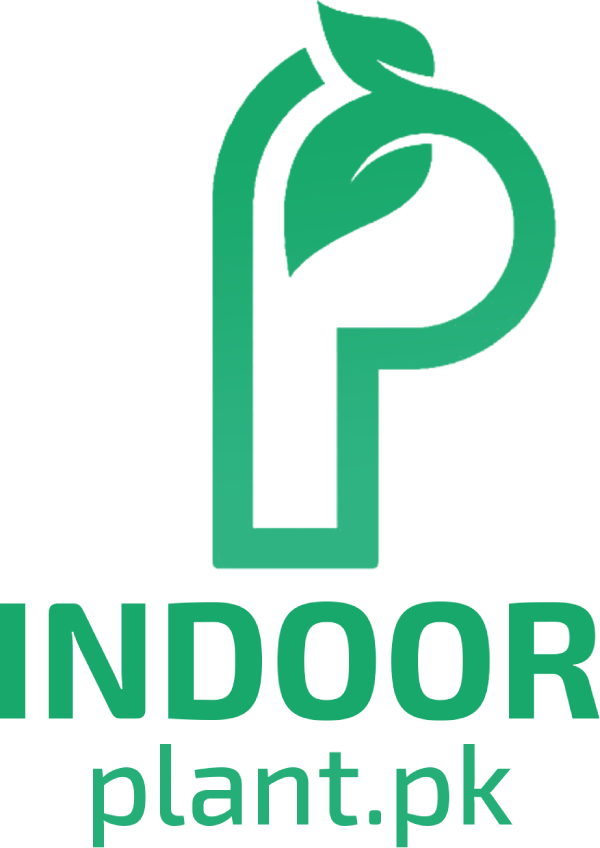 IndoorPlant.pk