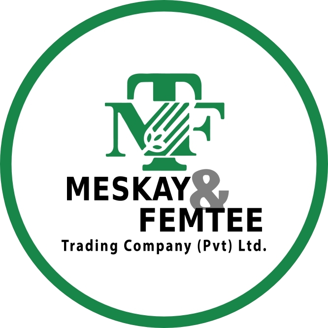 Meskay & Femtee Trading Co. Pvt Ltd.