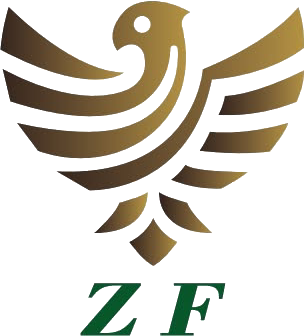 Zhongfa EV
