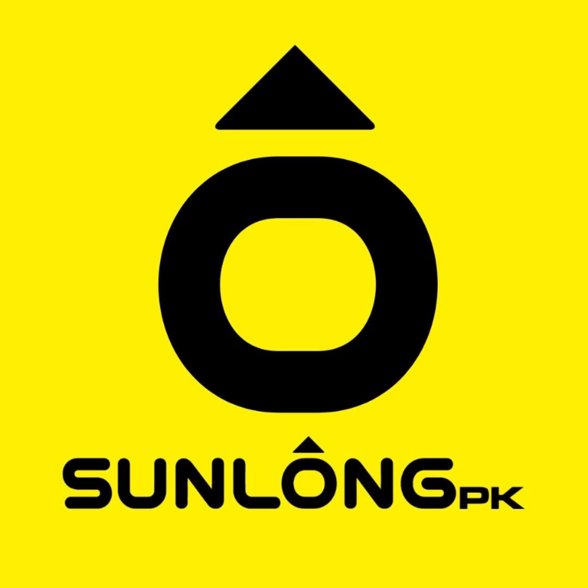 Sunlong Pakistan