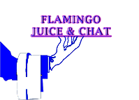 Flamingo Juice & Chat