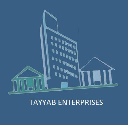Tayyab Enterprises Logo