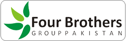 Four Brothers Group Logo