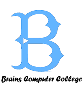 Brains Computer College Logo