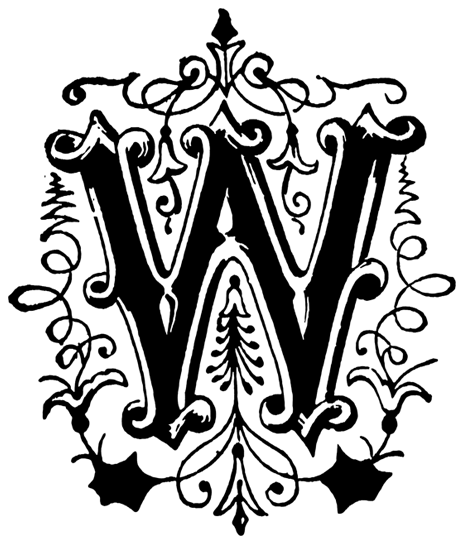 Nadeem Images Logo