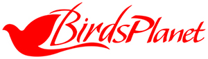 BirdsPlanet.pk Logo